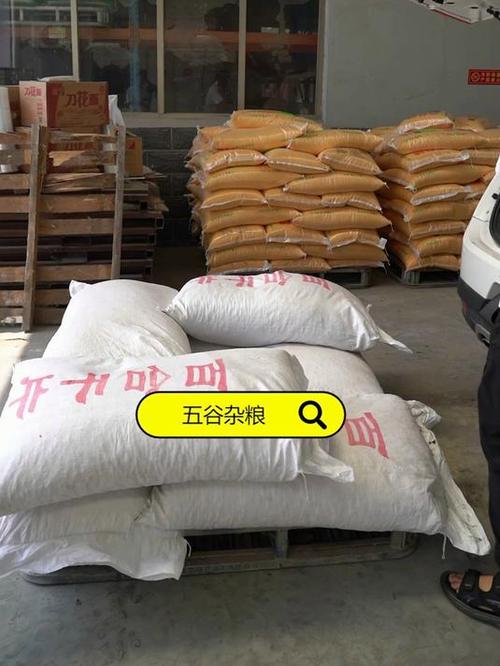 德州杂粮加工源头工厂 从田间到餐桌，免费咨询助力杂粮产业