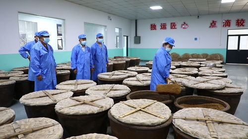 红枣高粱酿新醋 产业振兴谱新篇